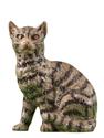 Grey Cat