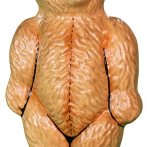 UMass 2001 Dream Bear