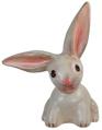 Floppy Ear White Bunny