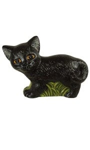Black Cat
