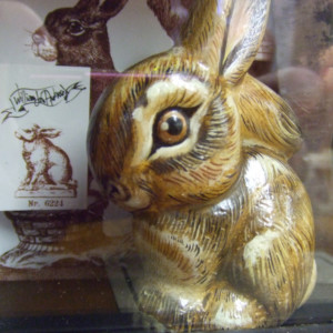 One of a Kind Rabbit
