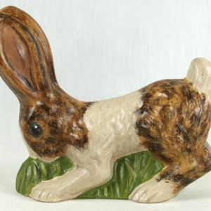Rabbit Nibbling