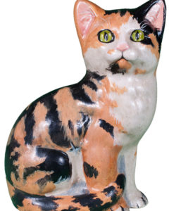 Calico Cat