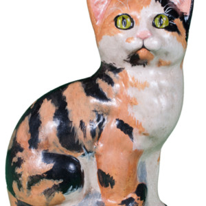 Calico Cat