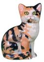 Calico Cat
