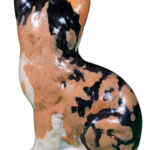 Calico Cat