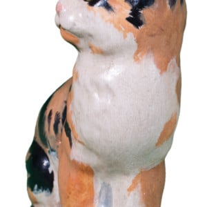 Calico Cat