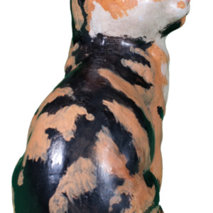 Calico Cat