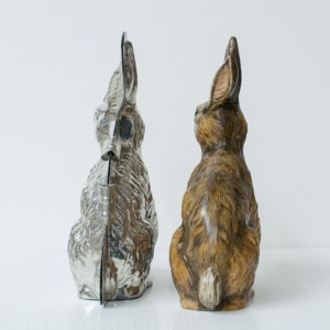 Brown Rabbit with Mould