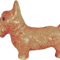 White Scottish Terrier