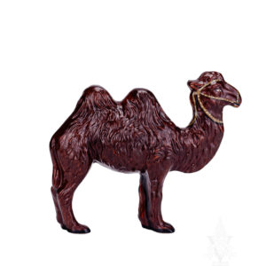 Camel