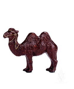 Camel