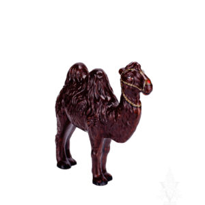 Camel
