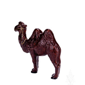 Camel