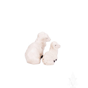 Nativity Sheep - Pair