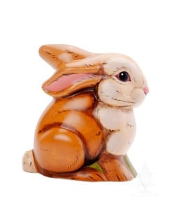 Small Brown Bunny