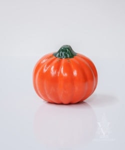 Pumpkin Varied