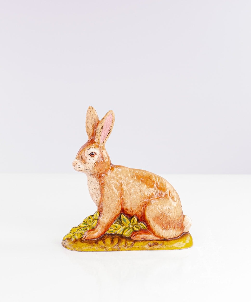 Large Brown Rabbit