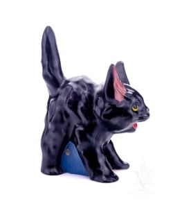 Large Black Hissing Cat