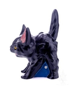 Large Black Hissing Cat