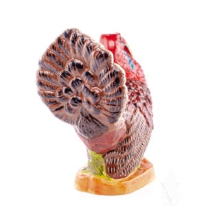 Large Turkey