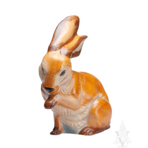 rabbit licking paw