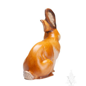 rabbit licking paw