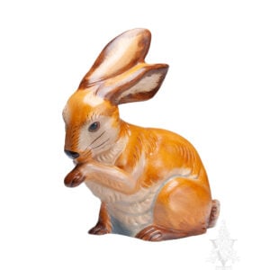 rabbit licking paw