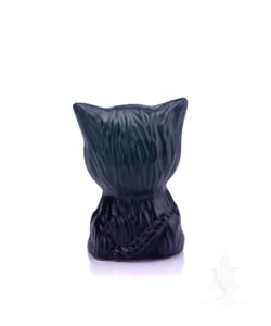 Halloween Cat