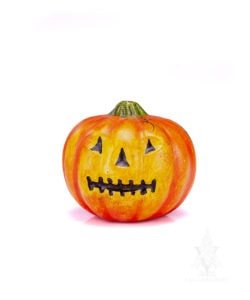 Pumpkin with Vine