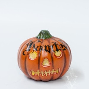 Pumpkin with Assorted Designs