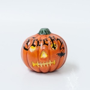 Pumpkin with Assorted Designs