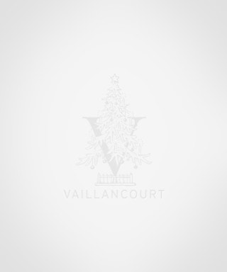 Cardinal On Round Box