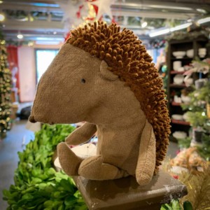 Mommy Hedgehog