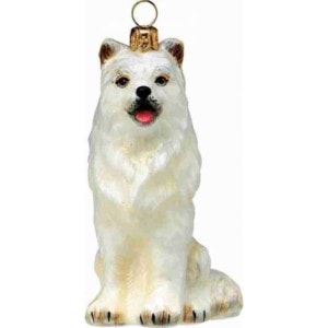 Samoyed