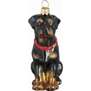 Rottweiller Sitting