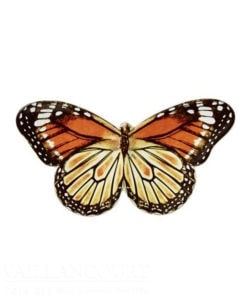 Field of Flowers Butterfly Viceroy