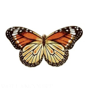 Field of Flowers Butterfly Viceroy