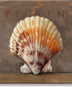 Pecten Giclee Wall Art