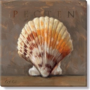 Pecten Giclee Wall Art