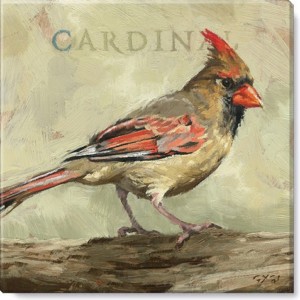 Female Cardinal Giclee Wall Art
