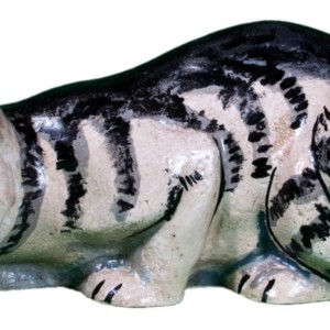 Grey Striped Cat