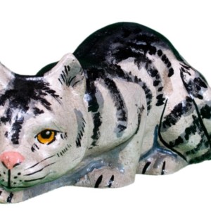 Grey Striped Cat