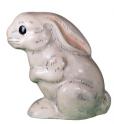 White Rabbit Sitting on Haunches