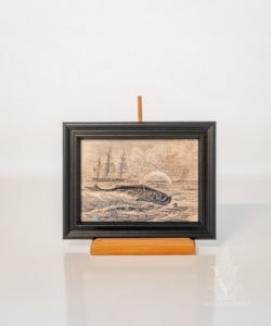 Pursuit Of The Sperm Whale