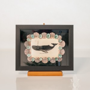 Whale Print With Shell Border