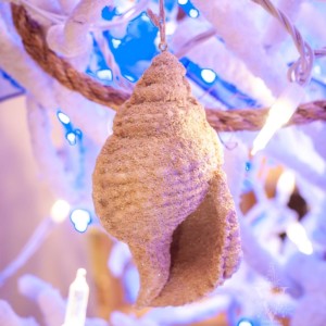 Seashell Ornament (Assorted)
