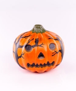 Pumpkin with Dark Forest Shadows