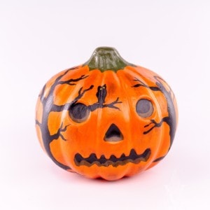 Pumpkin with Dark Forest Shadows