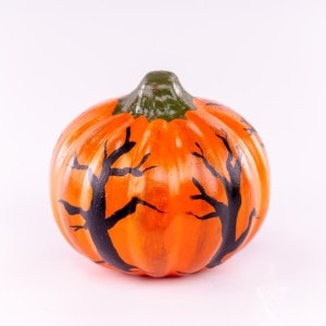 Pumpkin with Dark Forest Shadows